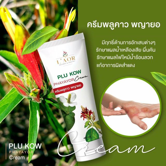 ครีมพลูคาวพญายอ พลูคาวพยายอ สมุนไพร Plu Kow Phayayor สมุนไพรแก้ กลาก เกลื้อน สะเก็ดเงิน แท้ ส่งด่วน