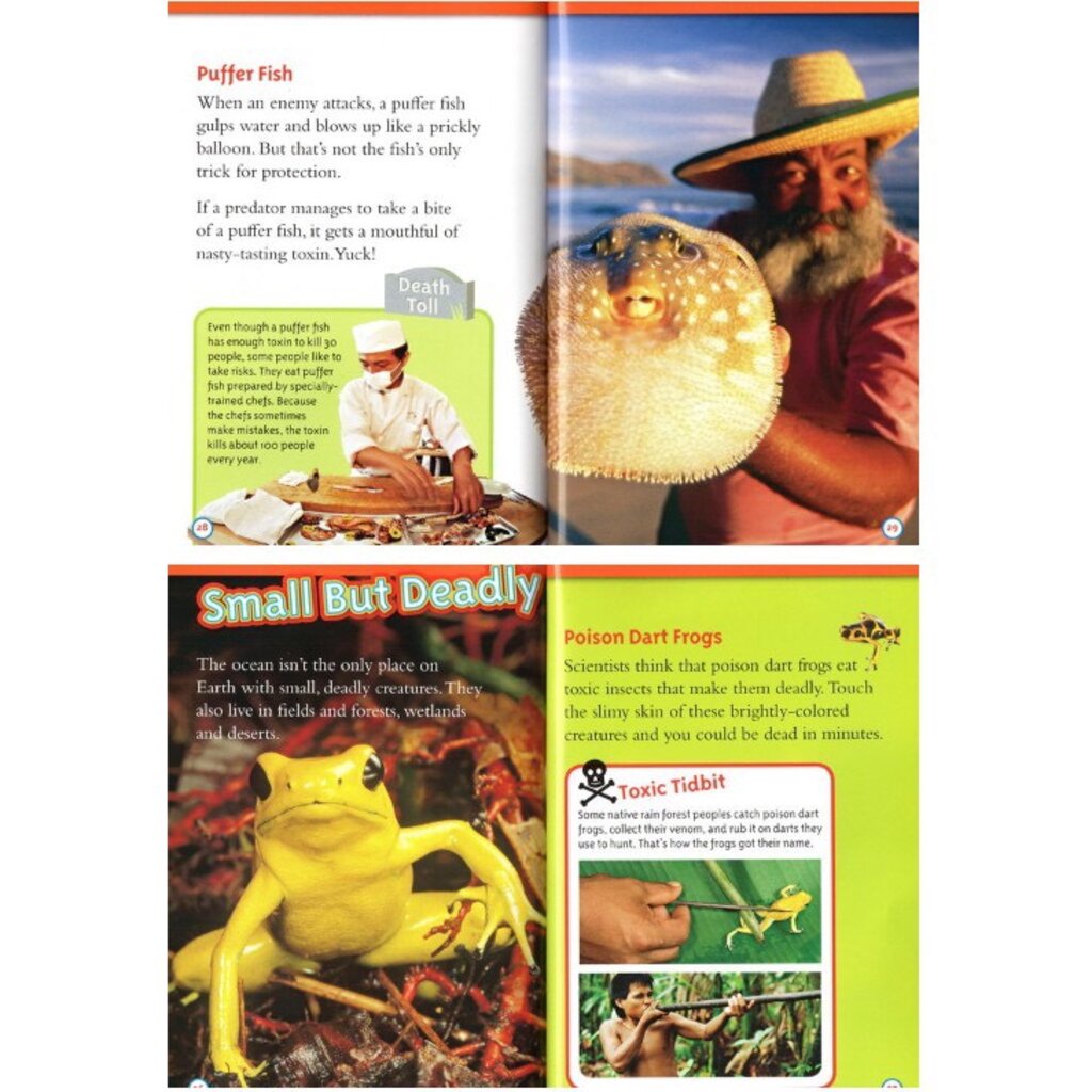 (พร้อมส่ง) National Geographic Kids Reader Level 3 1 ชุดมี 22 เล่ม ...