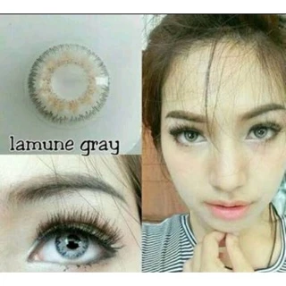 คอนแทคเลนส์ แต่งหน้าเจ้าสาว รุ่น Mini Lamune/Florida สีเทา/ตาล Gray/Brown มีค่าสายตา (0.00)-(-8.00)