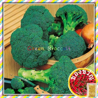 50pcsDing Green Broccoli Seed โภชนาการและสุขภาพเมล็ดพันธุ์ผักบ้านและสวน/ผักชี/กุหลาบ/ดอกไม้/คื่นฉ่าย/เมล็ด/เมล็ด/มะละกอ/