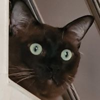 Profile NoName
