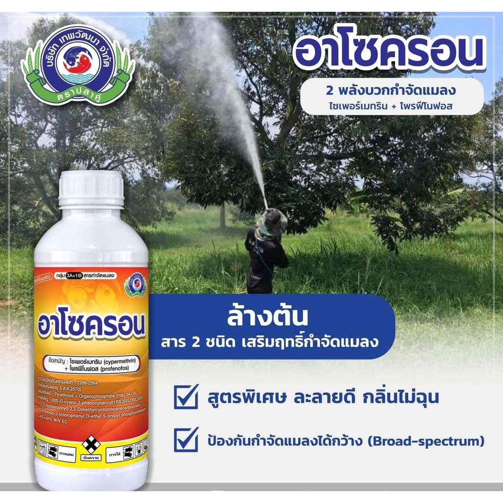 อาโซครอน 1 ลิตร (ไซเพอร์เมทริน+โพรฟีโนฟอส) กำจัด หนอนเจาะดอก หนอนชอนใบ แมลงค่อมทอง ด้วงกุหลาบ เพลี้ยไก่แจ้ เพลี้ยอ่อน - รูปที่ 2
