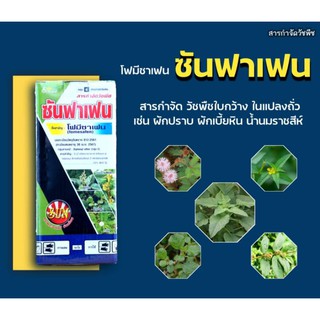 สารกำจัดวัชพืชใบกว้างในแปลงถั่ว ปลอดภัยต่อพืชประธาน โฟมีซาเฟน