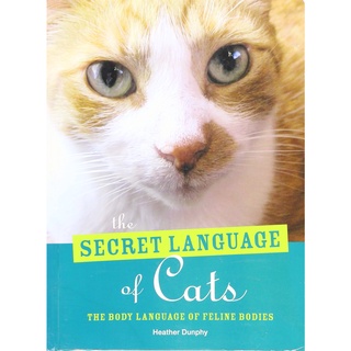 Secrets Language Of Cats: The Body Language Of Feline Bodies