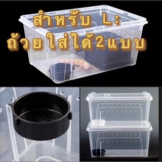 Reptile Box กล่องเลี้ยงสัตว์เล็ก สัตว์เลื้อยคลาน สัตว์เล็ก ผสมพันธุ์สดกล่อง สำหรับ แมงมุม ตุ๊กแก ฮอร์นฟรอก ตะขาบ แมงป่อง