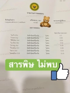กระดุมยักษ์ 5 เซ็นต์ Food Grade ตราหมี ของแท้‼️ แก้วแยกสี อเนกประสงค์ ปลอดภัย (11026) (11028)