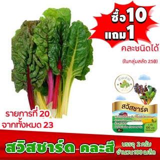 [ซื้อ10แถม1 + ฟรีคู่มือ] เมล็ดพันธุ์ สวิสชาร์ด SWISS CHARD  (2 กรัม 100 เมล็ด) ทำมะชาดฟาร์ม  ผักสลัด เมล็ดพันธุ์สลัด