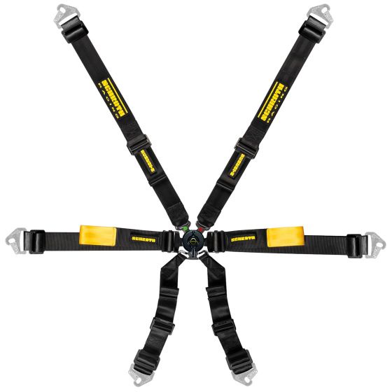 เข็มขัดนิรภัย Schroth Profi XLT 2x2 Harness