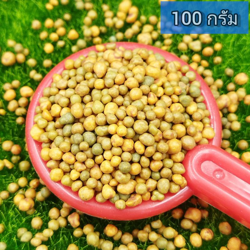 ออสโมโค้ท  พลัส สูตร 12-25-6 ปุ๋ยละลายช้า (สูตรดอก) ขนาด 100 กรัม