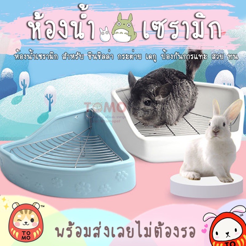 ร้านโทโมะ 💕 ห้องน้ำเซรามิค สำหรับชินชิลล่า กระต่าย เดกู