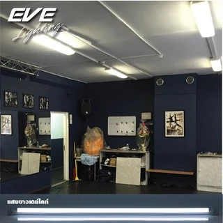 EVE (ลดล้างสต๊อก) หลอดแอลอีดี T8 (ไม่รวมชุดรางไฟ) รุ่น ECO ขนาด 8W 9W แสงขาว แสงเหลือง