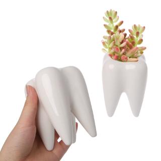 YYS Tooth Shape Ceramic Flower Pot Green Succulent Planter Cactus Container Decor