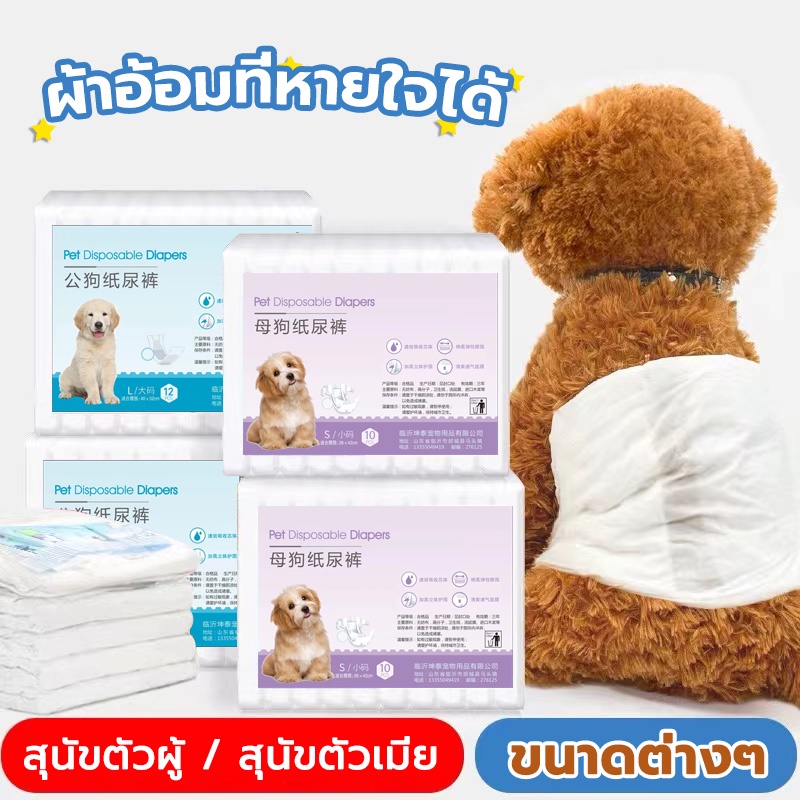 แพมเพิสหมาโอบิสุนัขตัวผู้ผ้าอ้อมสุนัขผ้าอ้อมสุนัขชายและหญิง แก้ปัญหาขี้สุนัขและประจำเดือน