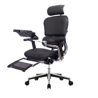 DF Prochair | เก้าอี้เพื่อสุขภาพ รุ่น Ergo2 Top Plus Leather