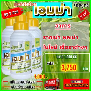 🔥🔥 ส่งฟรี 🔥🔥เอมม่า ปุ๋ยน้ำเอมม่า ( 1000 ซีซี  3 ขวด) ป้องกันการเกิดเชื้อราในพืช ปุ๋ยน้ำสูตรเข้มข้น เพิ่มความแข็งแรงพืช