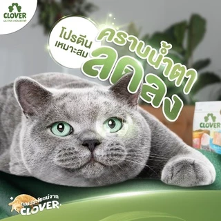Clover อาหารแมว ultra holistic grain-free ขนาด 1.5 กิโลกรัม อาหารแมวชนิดแห้ง อาหารแมวชนิดเม็ด อาหารเม็ดแมว
