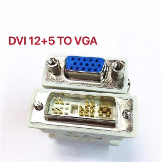 DVI 12 + 5 Pin Male to VGA 15 Pin Female  Adapter