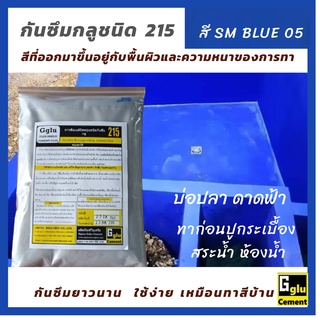 กลู (gglu) กาวซีเมนต์กันซึม ชนิดทา 215 สีฟ้า SM BLUE 05 ขนาด 1กกทาป้องกันและแก้ไขการรั่วซึม ดาดฟ้า ห้องน้ำสระน้ำ บ่อปลา