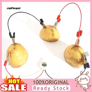 Sun DIY Potato Fruit Power Battery Bio Energy Light Diode Clock Kit Experiment Toy