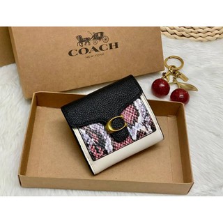 COACH TABBY SMALL WALLET WITH SNAKESKIN DETAIL((76292))