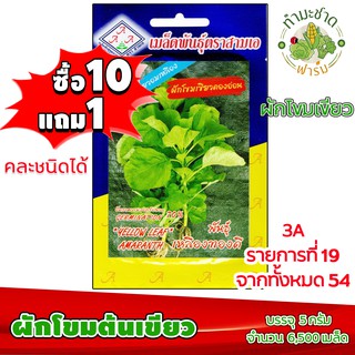 (ซื้อ10แถม1) เมล็ดพันธุ์ ผักโขม เขียว amaranth ประมาณ 6,500เมล็ด 3A สามเอ ผักสวนครัว เมล็ดพันธุ์พืช เมล็ดผัก เม็ดผัก