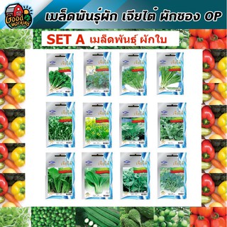 ผักซอง เจียไต๋ OP  set A (16 ชนิด) ผักใบ ตราเครื่องบิน ผักซอง เมล็ดพันธุ์ผัก เจียไต๋ ผักสวนครัว เมล็ดพันธุ์