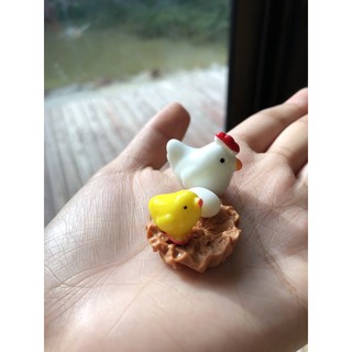 ครอบครัวไก่ ใวเแต่งสวน