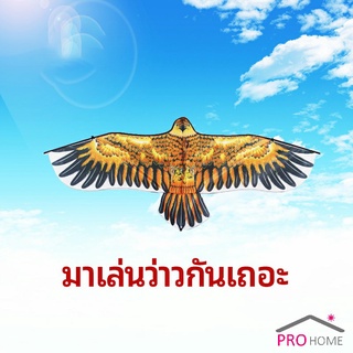 ว่าว นกอินทรีย์ ว่าวไล่นก ว่าวไล่ ศัตรูพืชว่าวเด็ก อุปกรณ์ว่าว kite