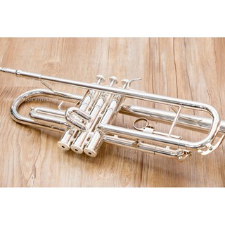 Trumpet Coleman standard Gold ทรัมเป็ท พร้อมกระเป๋า Music Arms