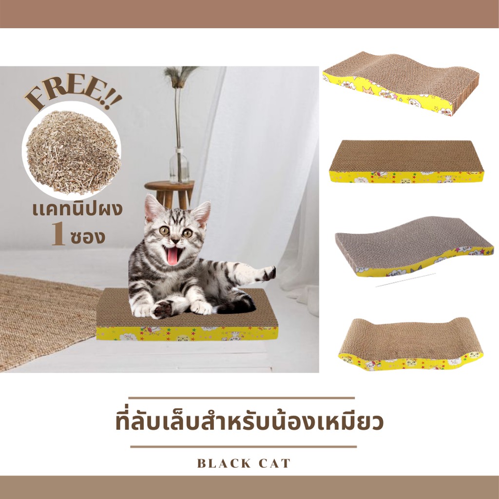Black cat ที่ลับเล็บแมว ที่ฝนเล็บแมว กระดานลับเล็บแมว ของเล่นแมว