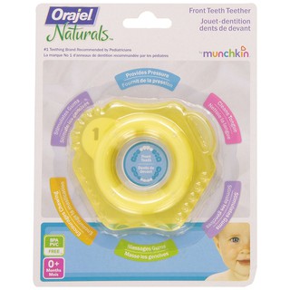 Munchkin -ยางกัด Orajel Front Teeth Teether Toy