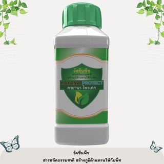 ปุ๋ยเคมี วัคซีนพืช วัคซีนกันเชื้อรา KAYANA PROTECT (คายานา โพรเทค)