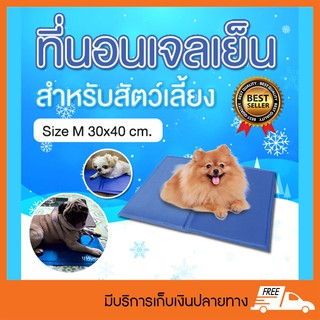 Pet cool mat ที่นอนเจลเย็นหมา แผ่นเจลเย็นสุนัข ที่นอนเจลเย็นสำหรับสุนัข