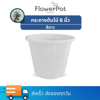 (จำนวน 1ใบ) กระถางต้นไม้ สีขาว ขนาด 6 นิ้ว