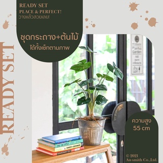 Lively Set-Monstera ต้นมอนสเตอร่า ชุด เซท เซ็ทพร้อมโชว์ ของตกแต่งบ้าน ต้นไม้ปลอม พร้อมกระถางสังกะสีลายพลีท ราคาต่อ 1 ชุด