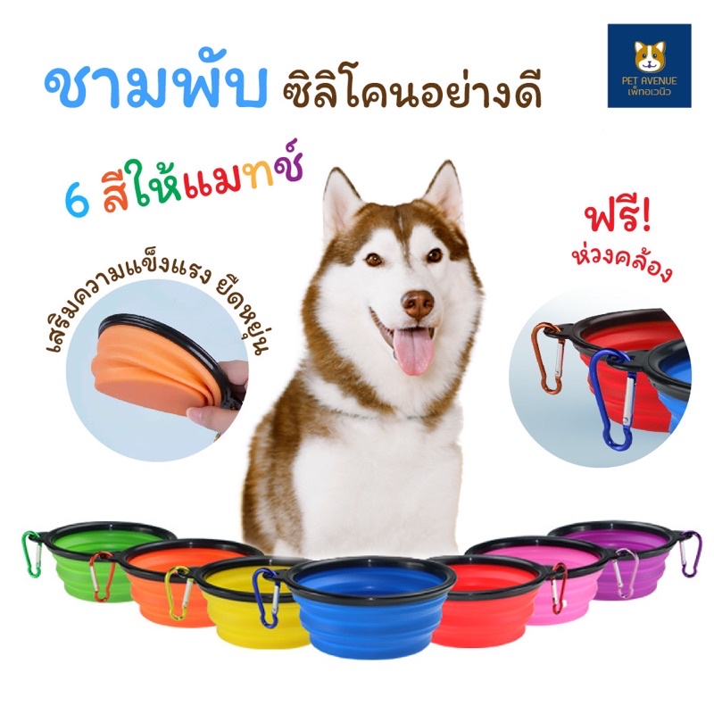(เคลียสตอค2ใบ15บาท)ชามพับ ซิลิโคน พกพาได้สำหรับสัตว์เลี้ยง