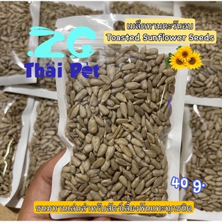 เมล็ดทานตะวัน Toasted Sunflower Seeds 🌻 ขนมทานเล่นสำหรับสัตว์เลี้ยงฟันแทะทุกชนิด ขนาด 40 g.