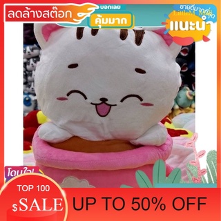 LittleM_MALL Sale ผ้าห่มในน้องแมวถ้วยกาแฟ สินค้าลดราคา ของใช้ที่ต้องมี