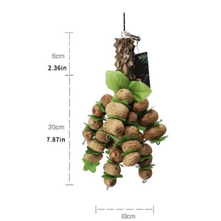 B-22 ของเล่นนกแก้ว ทำจากถั่วเปลือกแข็ง ให้นกเคี้ยวเล่น