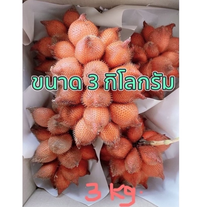 สละสุมาลี จากชาวสวน 3 กิโล 179 บาท (ร้านเปิดใหม่)