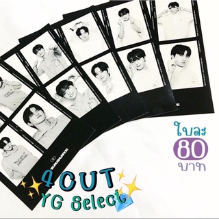 4CUT YG select การ์ดเด็กสมบัติ treasure