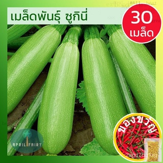 [30เมล็ด] เมล็ดพันธุ์ ซูกินี่ สีเขียว เมล็ดซูกินี่ เมล็ดพันธุ์ซูกินี่ เมล็ดซูกินีเขียว Green Zucchini Seeds พันธุ์แท้Zin