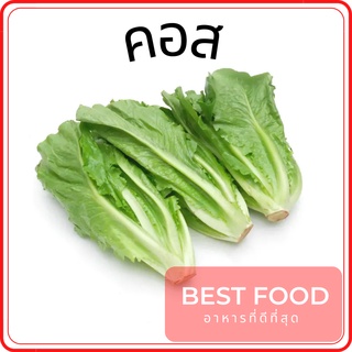 คอส Cos ผักสลัด Romaine