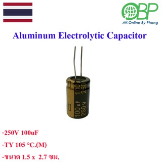 ตัวเก็บประจุ (capacitor / condenser) 250V 100 UF