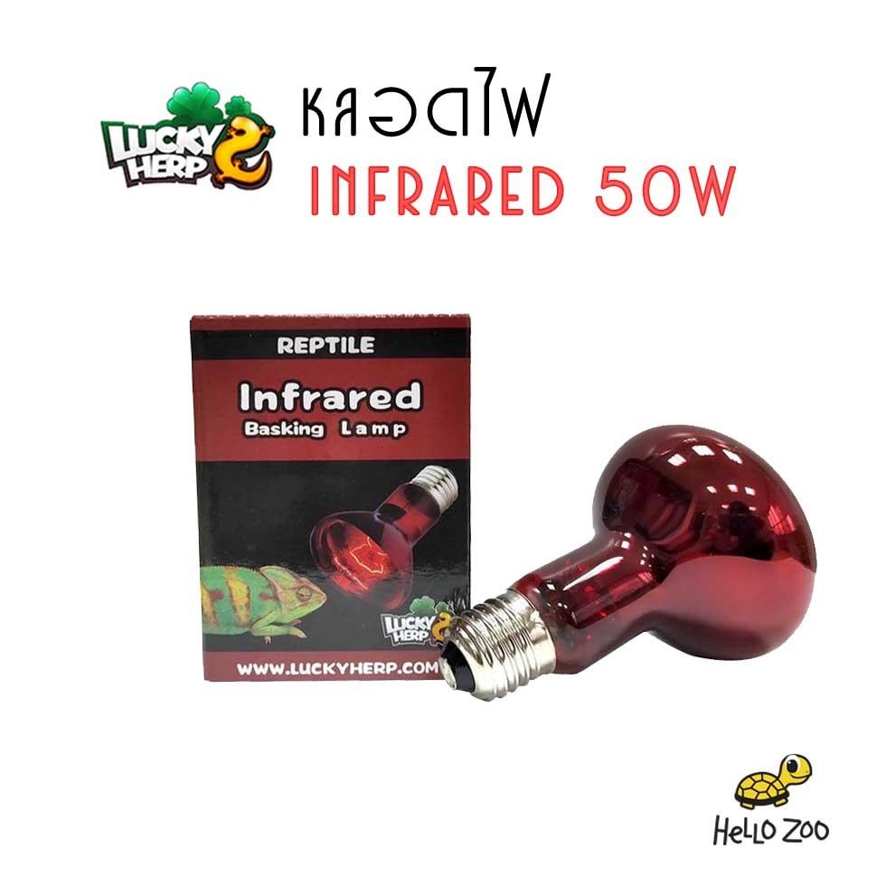 Lucky Herp Infrared 100W หลอดไฟอินฟราเรด สำหรับกกไฟกลางคืน (กล่องแดง)