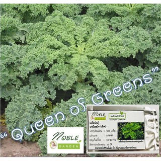 เมล็ดพันธุ์ เคลใบหยิก สีเขียว 100 เมล็ด - Dwarf Blue Curled Kale "ราชินีผักใบเขียว"ปลูกง่าย คุณค่าทางอาหารสูง