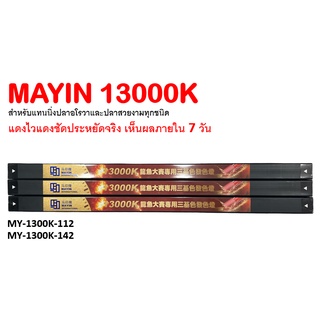 หลอดไฟแทนนิ่ง MAYIN-13000K