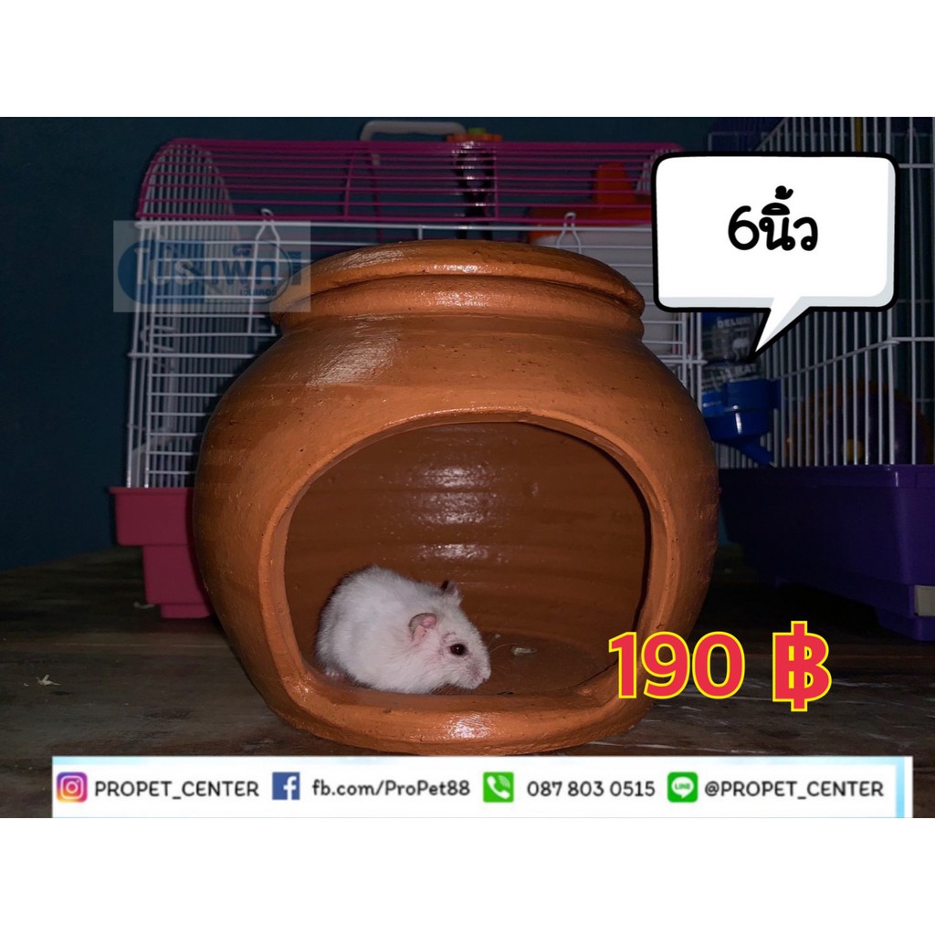 My Image 50