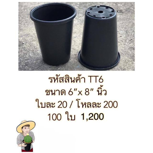 TT6  กระถางต้นไม้แคคตัส ขนาด 6 x 8 นิ้ว 1 ใบ