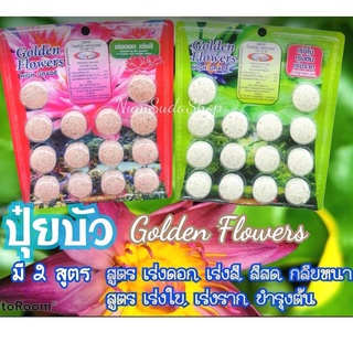 ปุ๋ยบัว ปุ๋ยบอน ปุ๋ยบอนสี ปุ๋ยไม้น้ำ Golden Flowers 14เม็ด มี2สูตร สูตรเร่งต้น สูตรเร่งดอก น้ำใสปลาไม่ตาย ยกลัง100แพ็ค